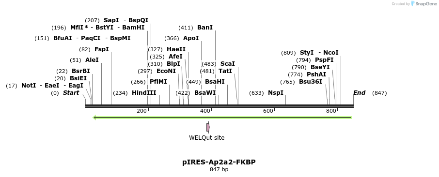 71563_map