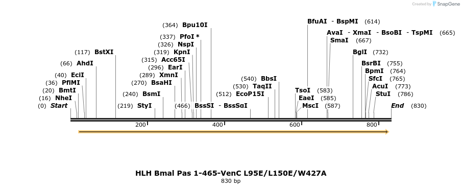 71571_map