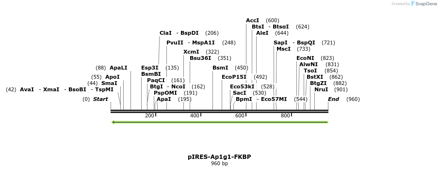 71572_map