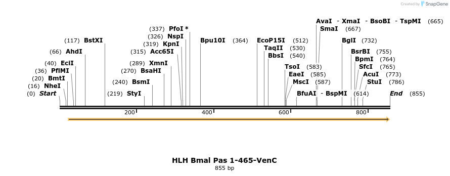 71578_map