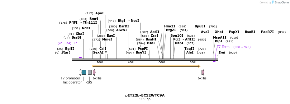 71581_map