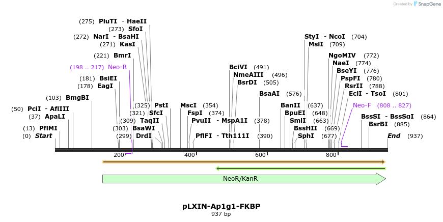 71582_map