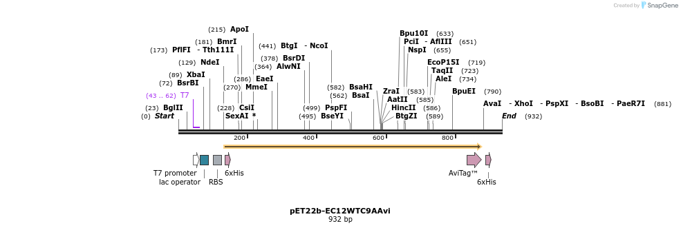 71585_map