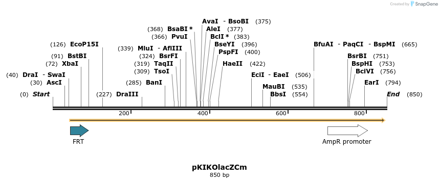 71589_map