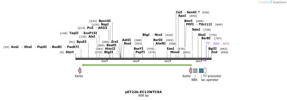 71590_map