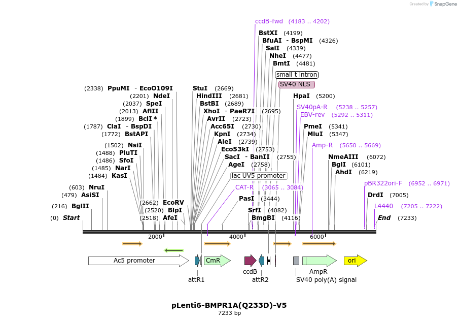 71591_map