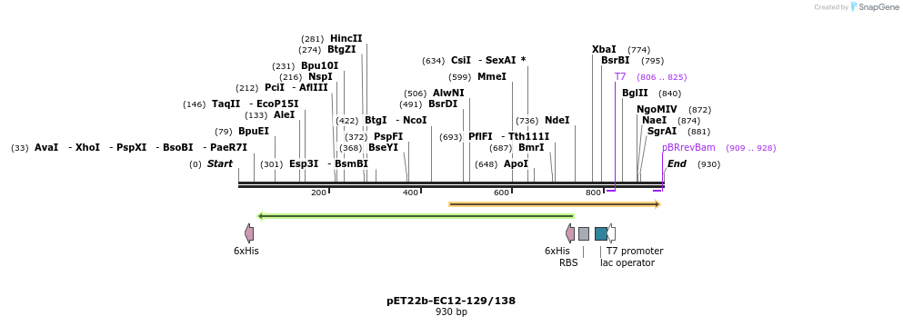 71593_map