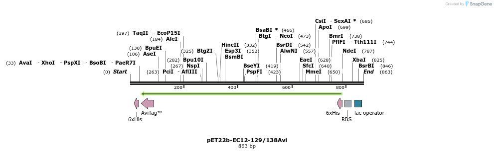 71594_map