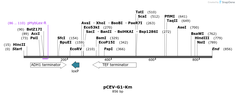71599_map