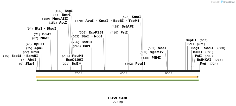 71609_map