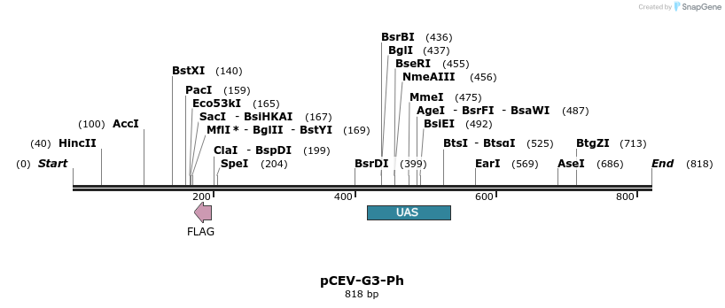 71610_map