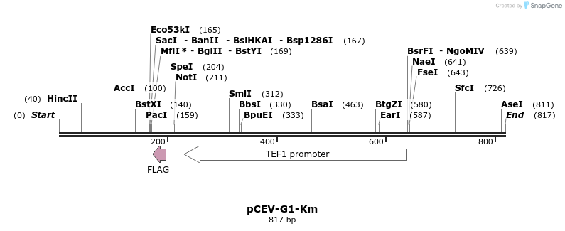 71611_map
