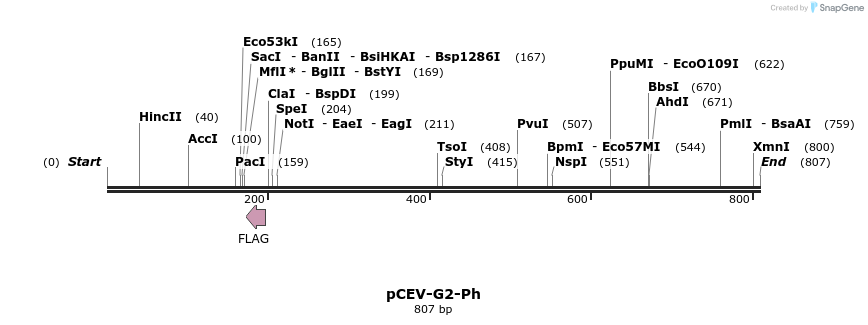 71614_map