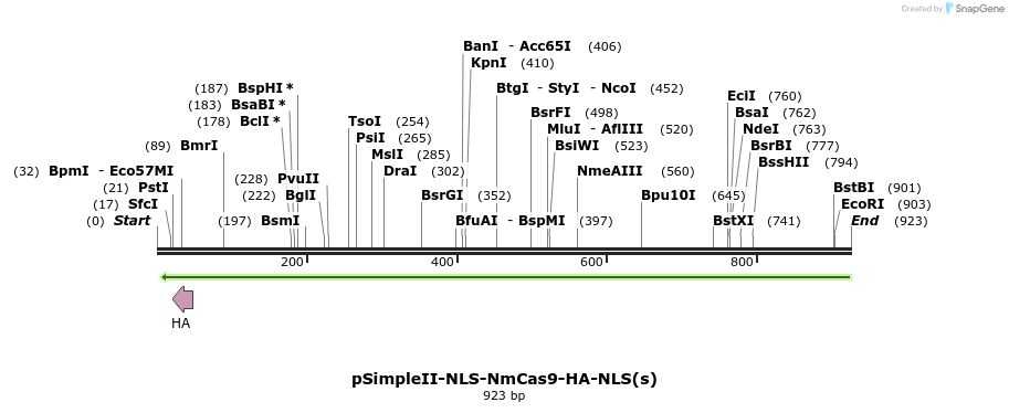 71617_map