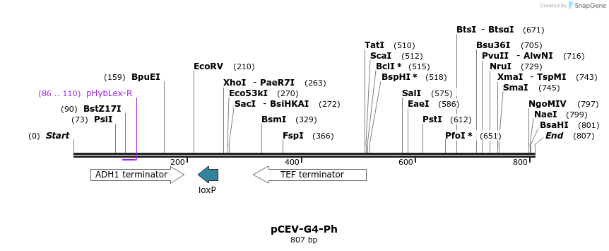 71618_map