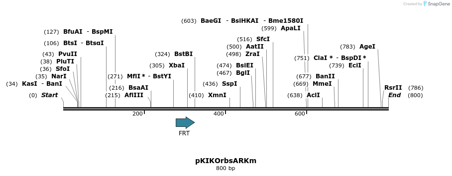 71624_map