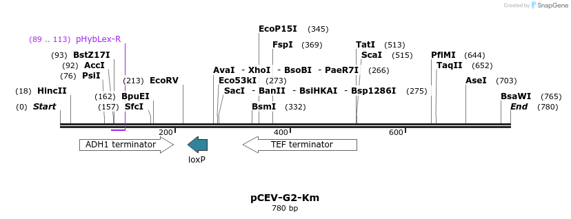 71625_map
