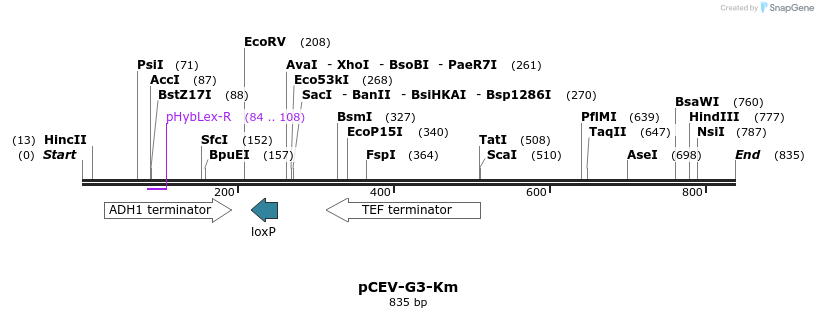 71628_map