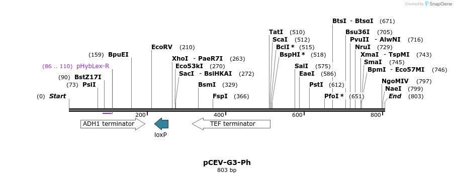 71629_map