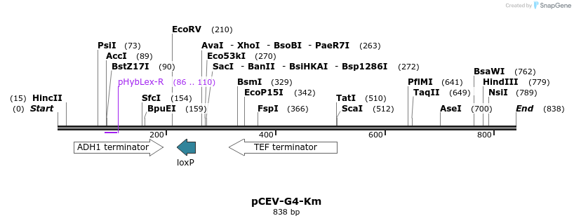 71630_map