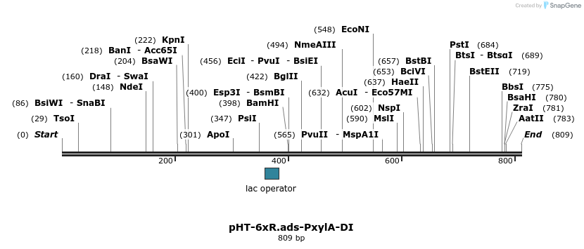 71638_map