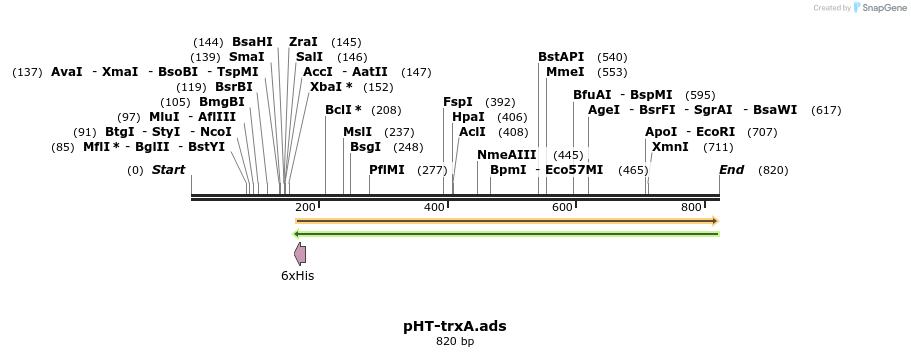 71642_map