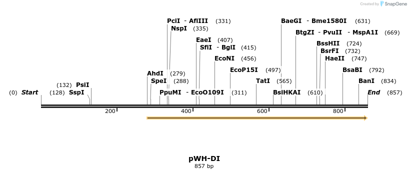 71645_map