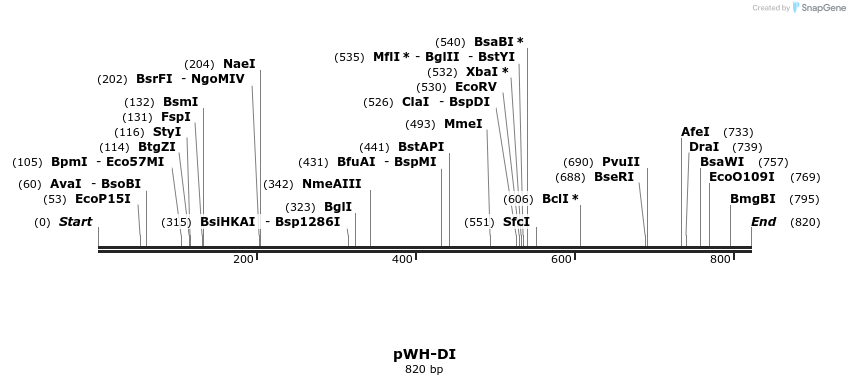 71646_map