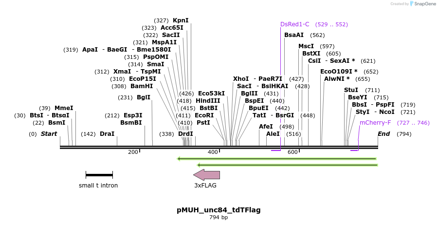 71654_map