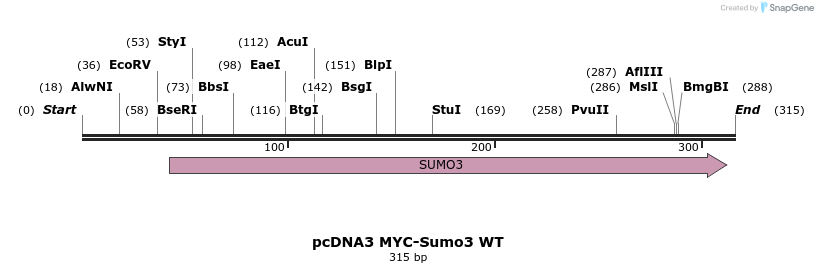 71658_map