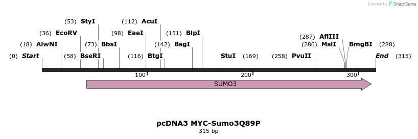 71659_map
