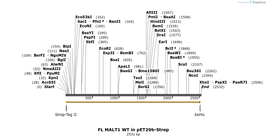 71664_map