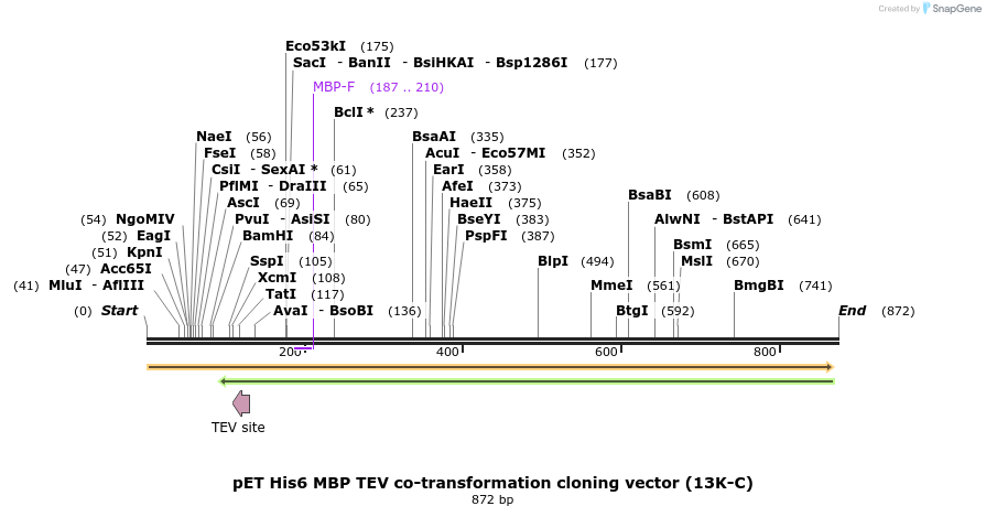 71665_map