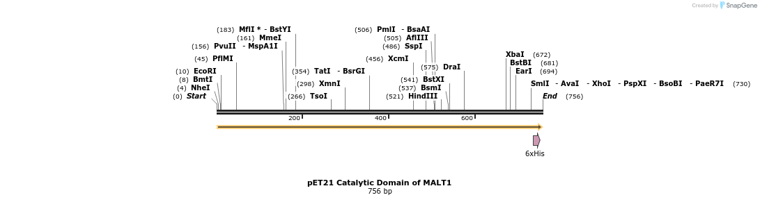 71668_map