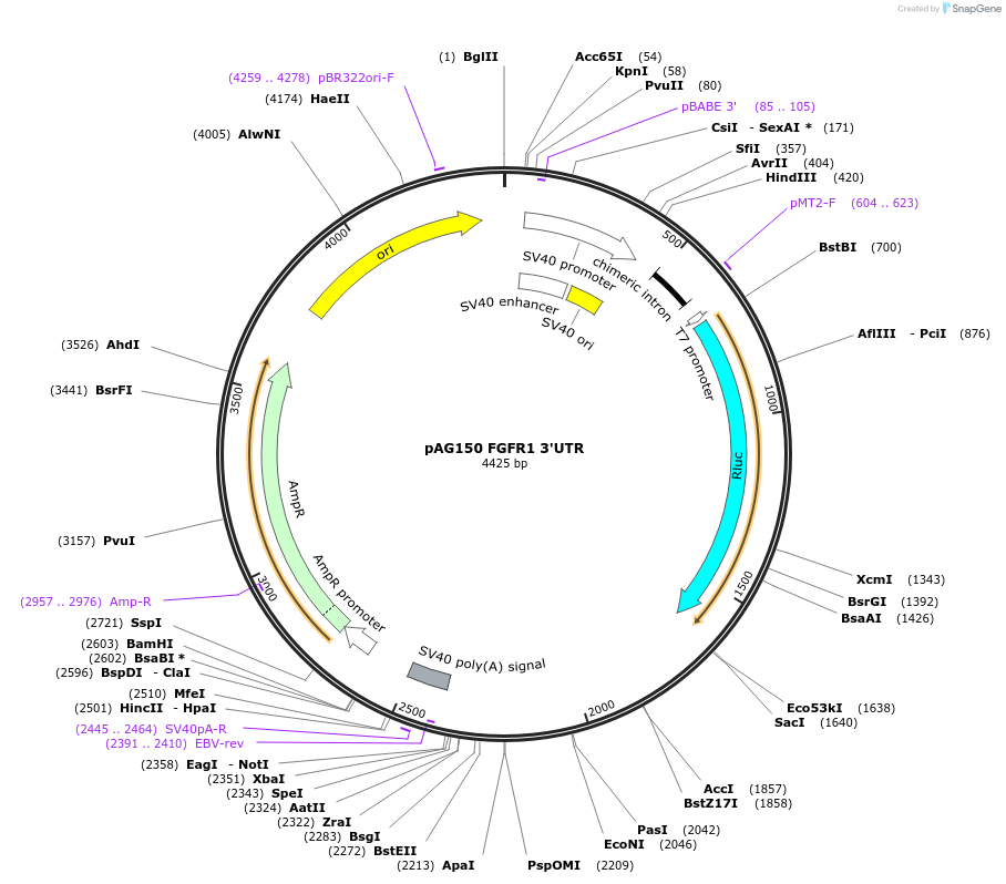 7167_map
