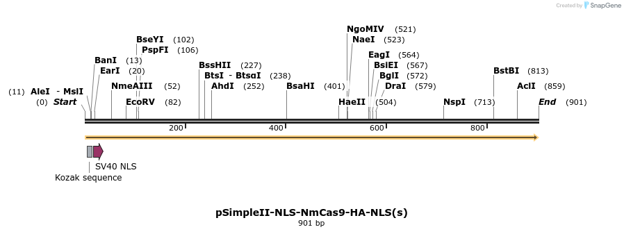 71677_map