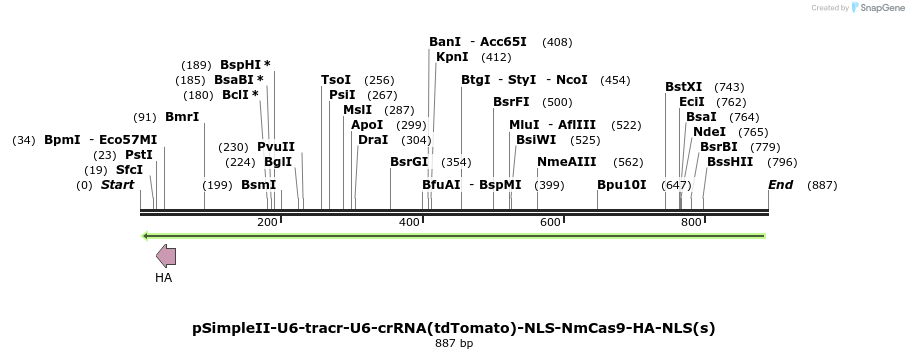 71682_map