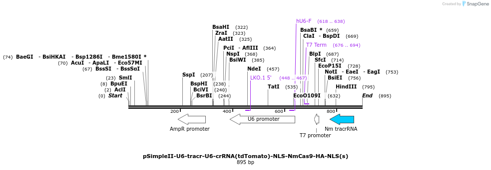 71683_map