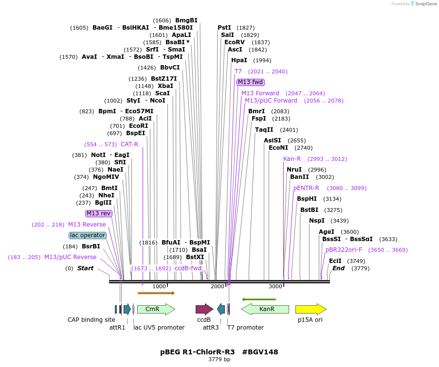 71686_map