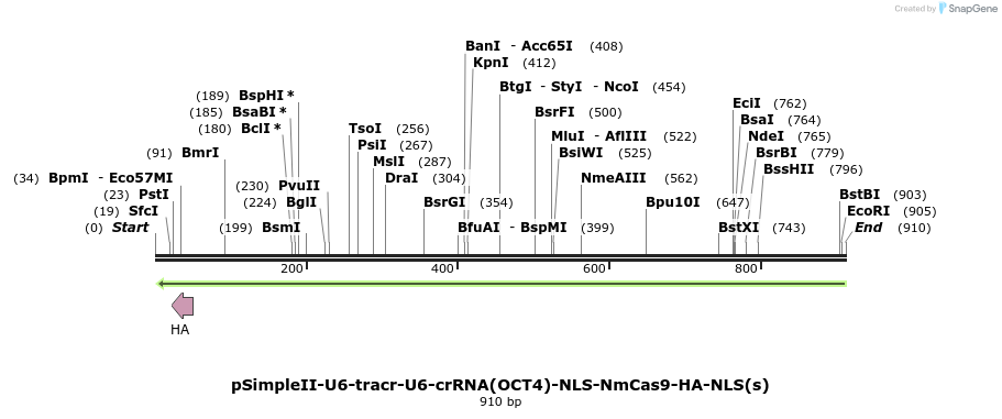 71687_map