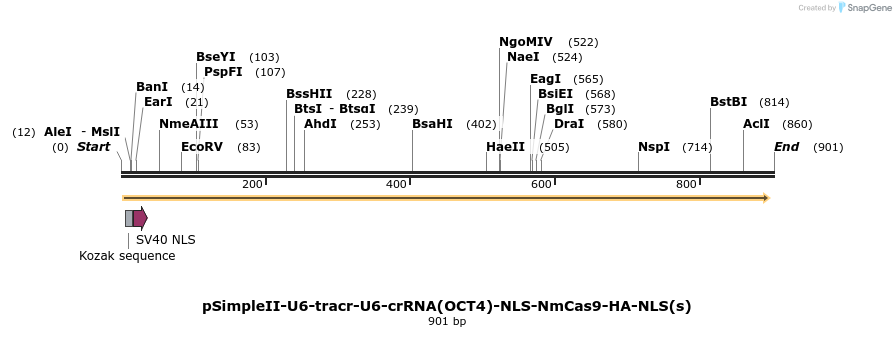 71692_map
