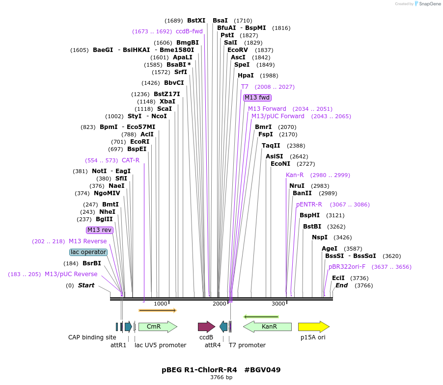71694_map