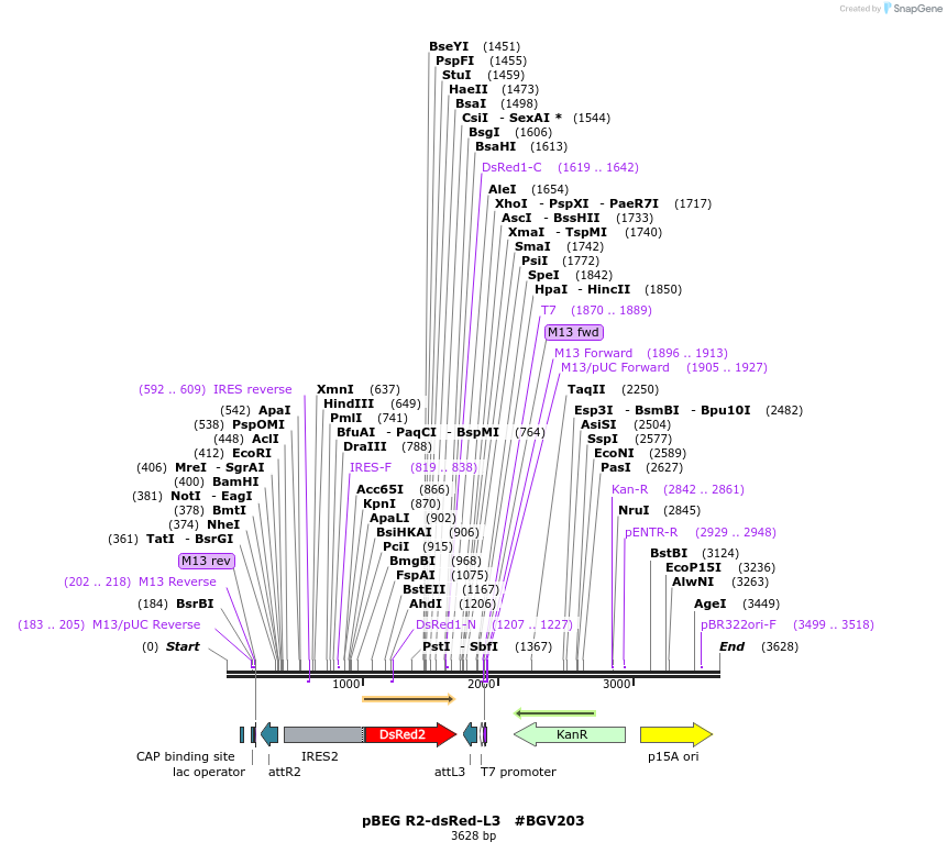 71697_map
