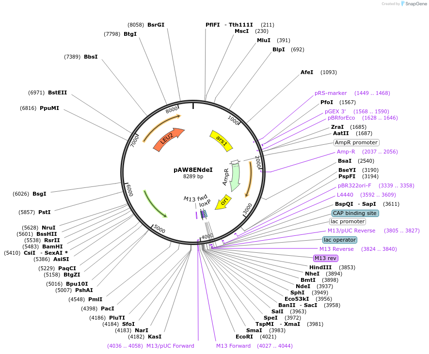 71709_map