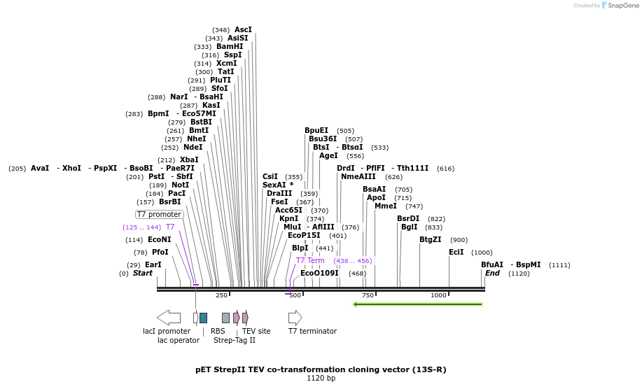71711_map