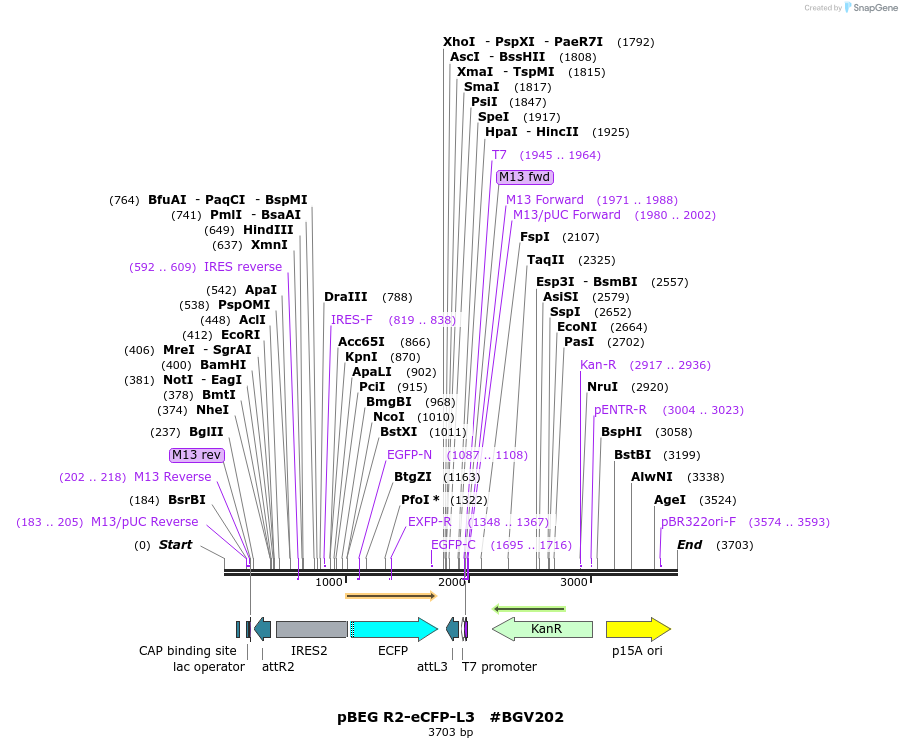 71715_map