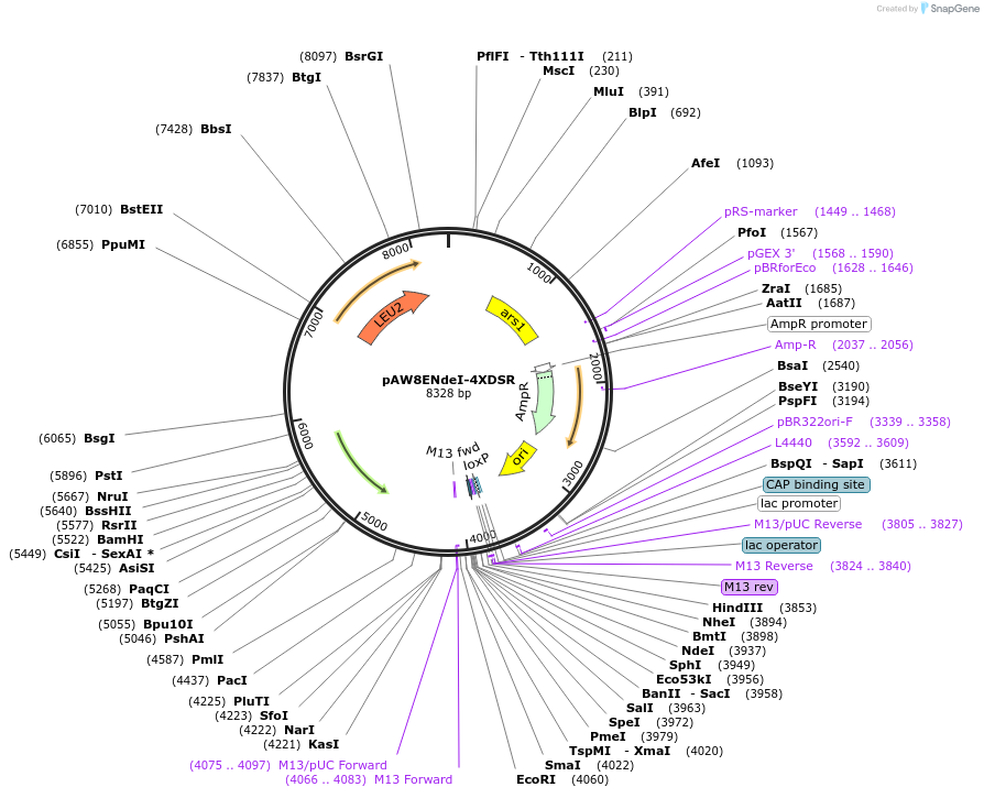71719_map