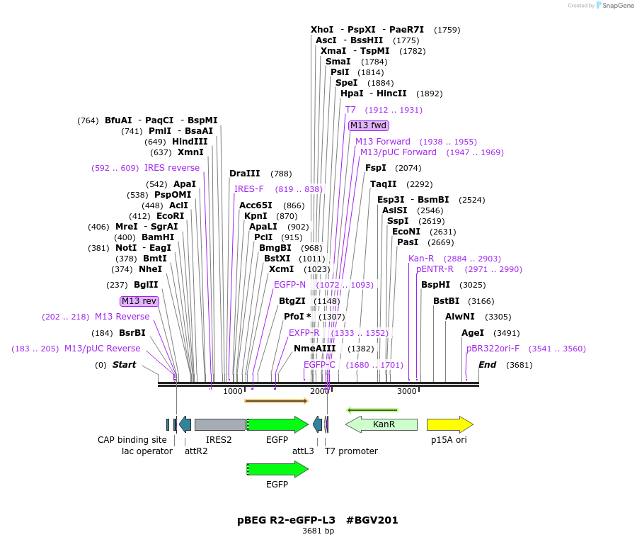 71720_map