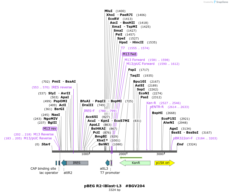 71723_map