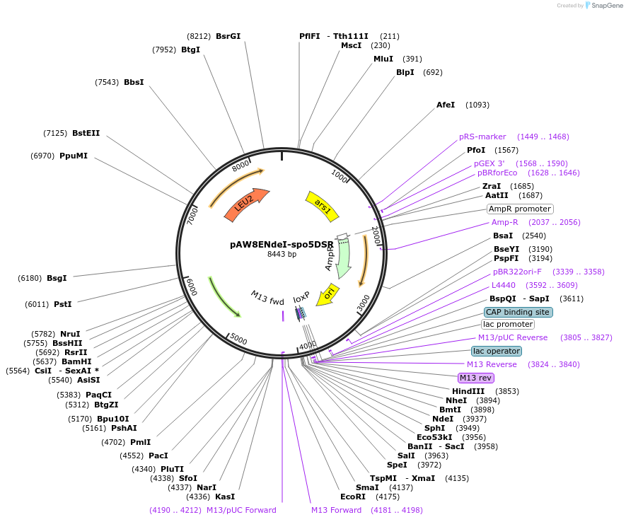 71724_map